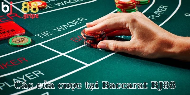 Baccarat BJ88 - Khám Phá Game Bài Casino Phổ Biến 2026 4 Các cửa cược tại Baccarat BJ88